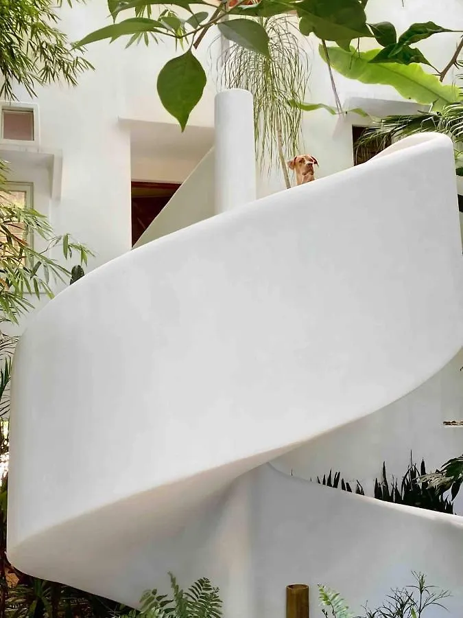 Casa Calisa Bed & Breakfast Bacalar Mexico