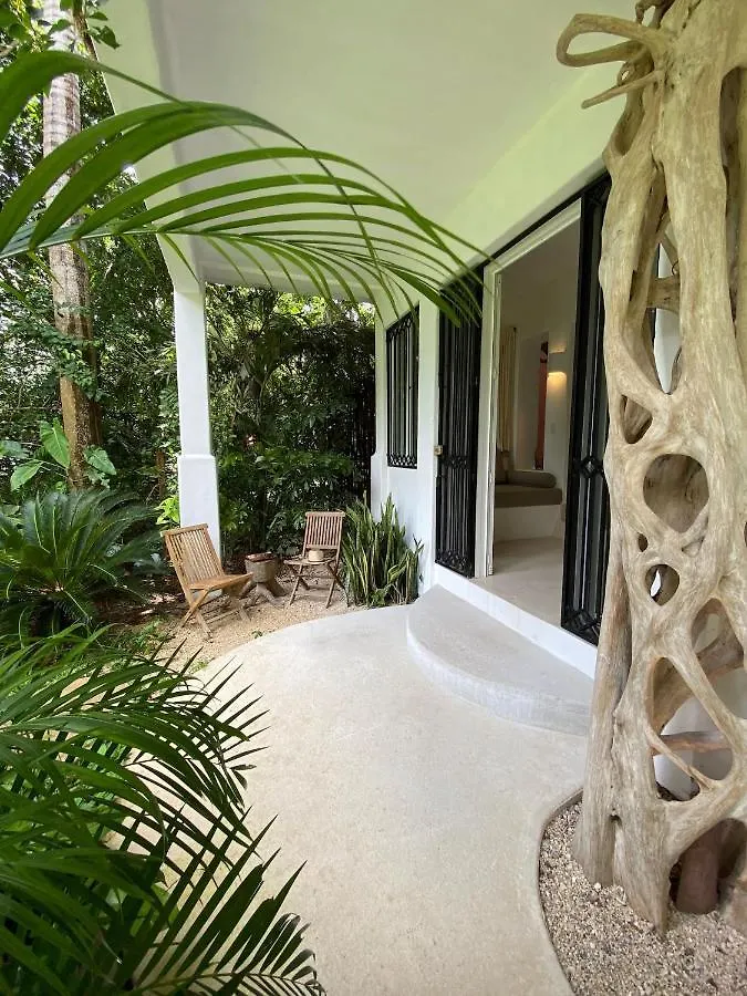 Casa Calisa Bed & Breakfast Bacalar Mexico
