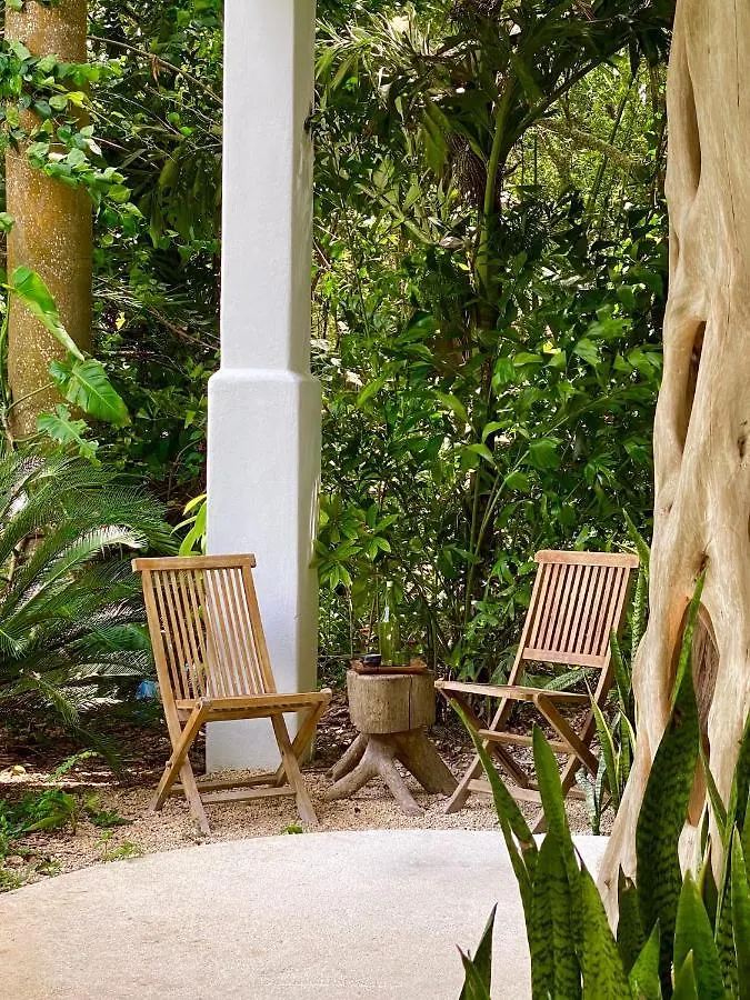 Casa Calisa Bed & Breakfast Bacalar