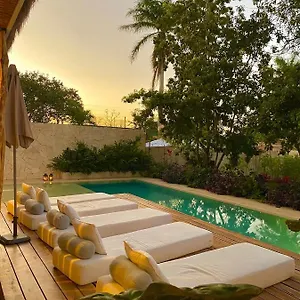 Otel Agam, Bacalar
