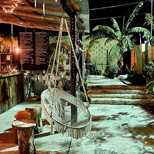  Apartment Jungla