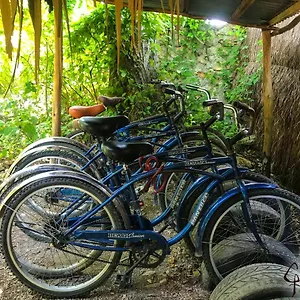  Guest house Guarumbo